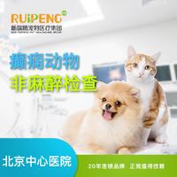 北京中心医院阿闻直播癫痫动物非麻醉检查 犬猫通用